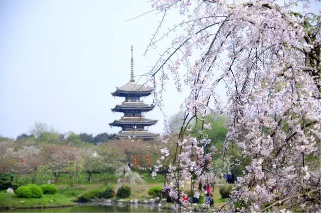 成都新都秦樱园门票图片