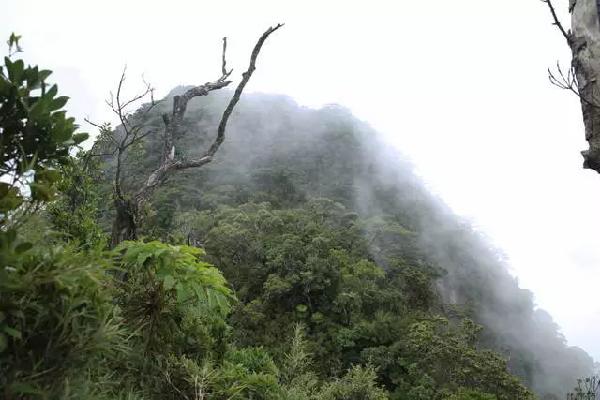 海南五指山市人口_五指山的人口