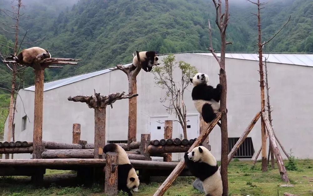 风景区招聘_景区店招聘图片(3)