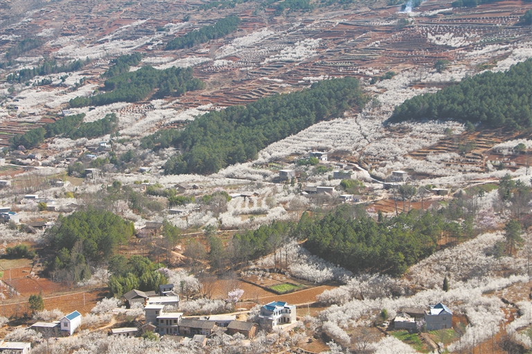 威宁县城区人口_数据看威宁 全县34乡镇人口 土地 工业 基本统计看这里