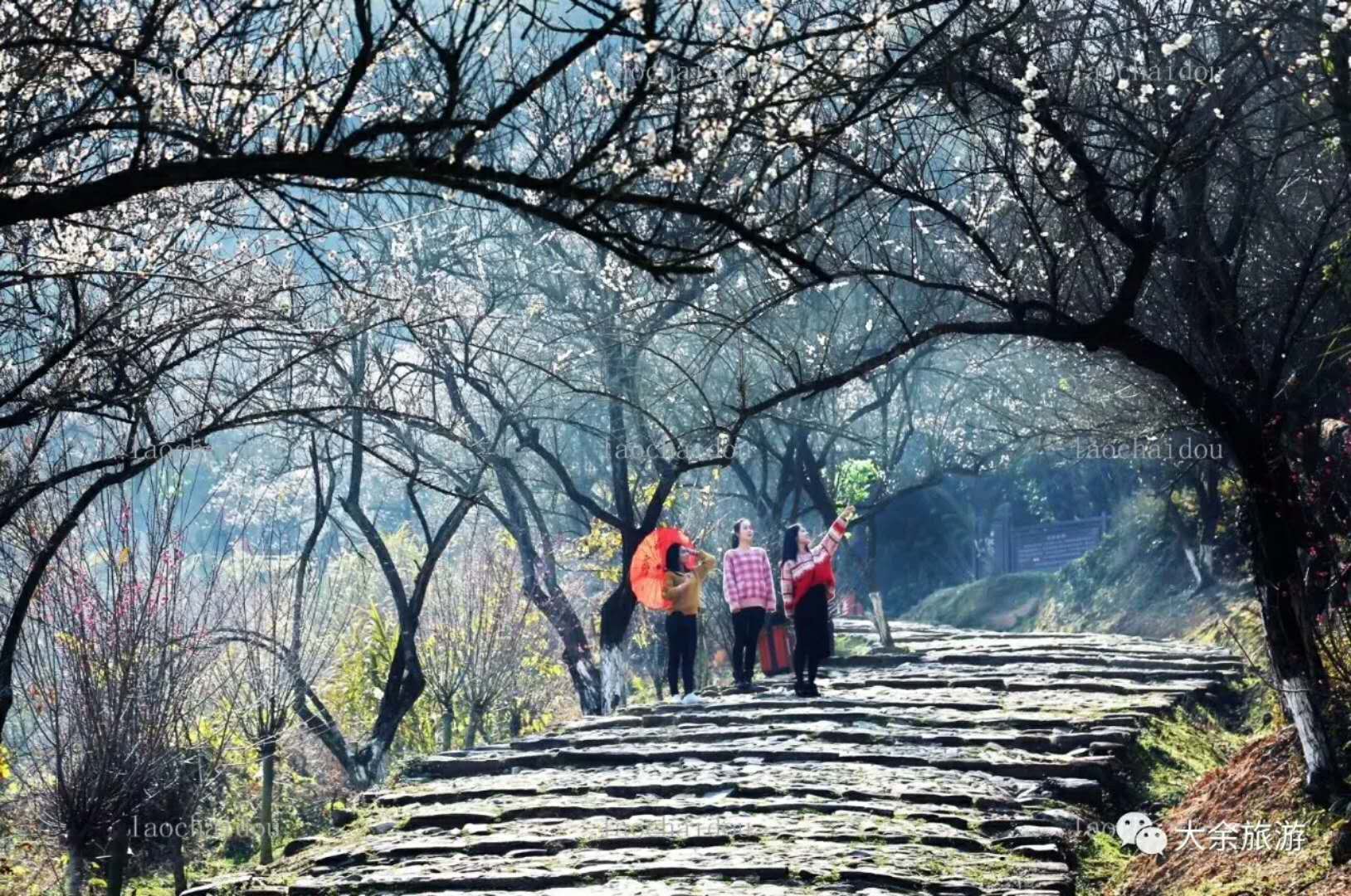 大余梅关古驿道风景区