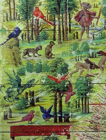 初年葡萄牙人描绘的巴西动物如鹦鹉与猴子,还有当地的印第安人和植物