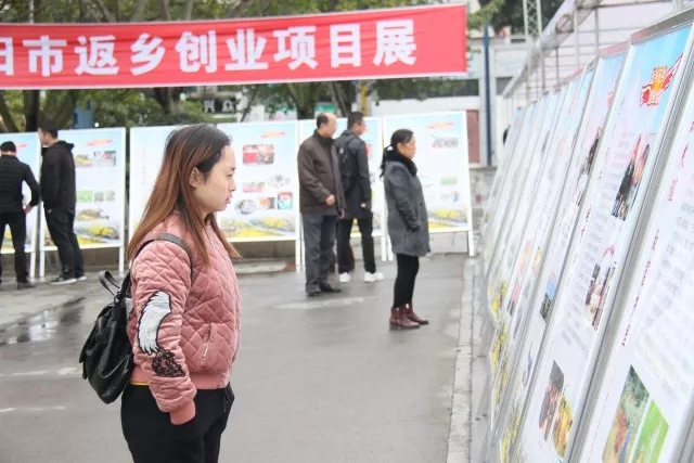 德阳市级春风行动专场圆满收官!4200余