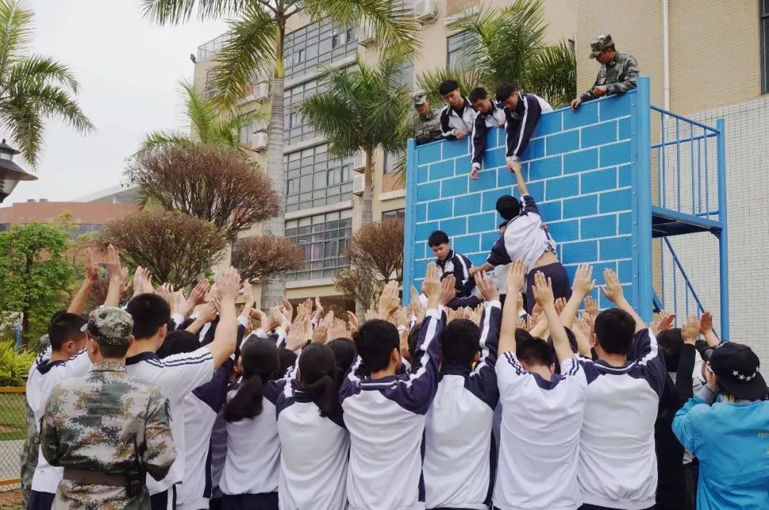 重磅!东莞六所民办学校招生信息出炉!