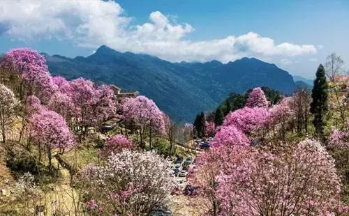 北川药王谷优惠:2018年3月8日当天,对所有的女性游客实行免门票优惠