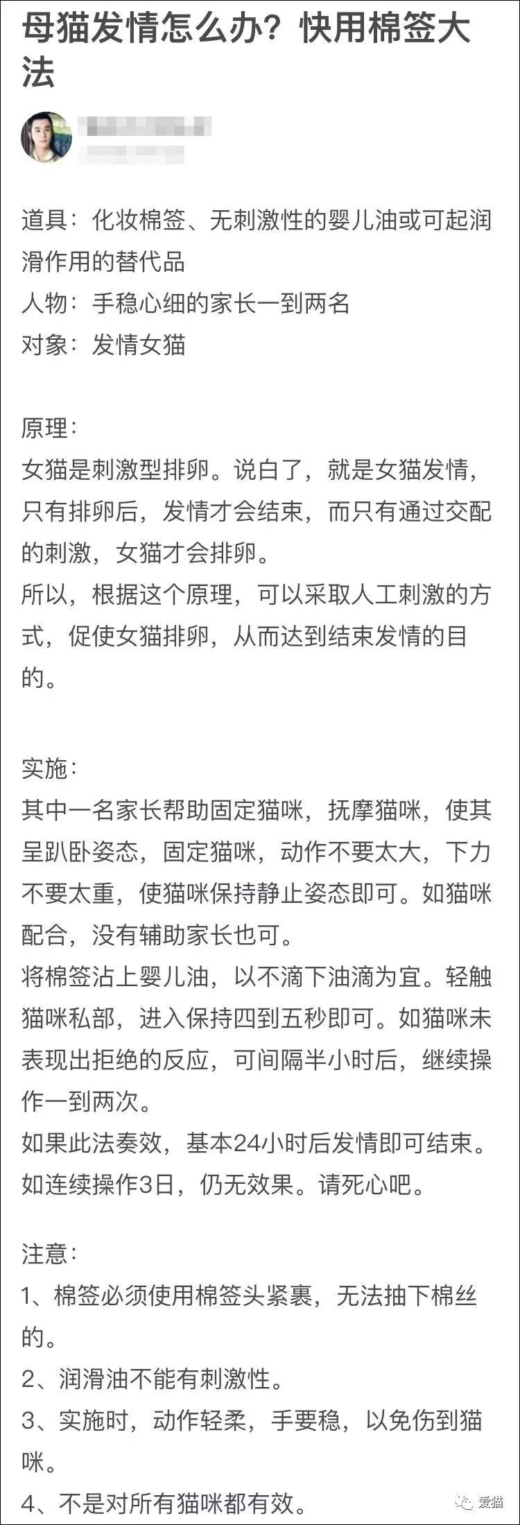 猫发情用棉签大法解决千万不要这样做