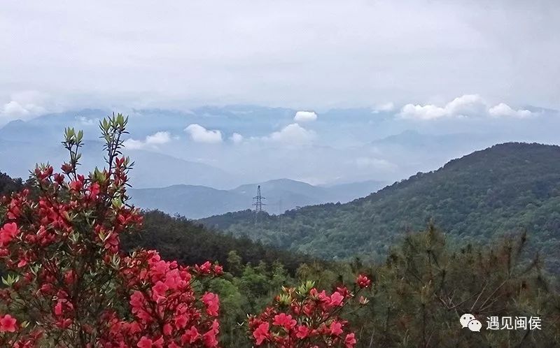 (马岚山风光林静/摄)