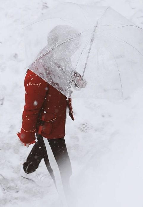 鹿晗维也纳穿红衣在雪地撑伞 网友:雪中鹿王子