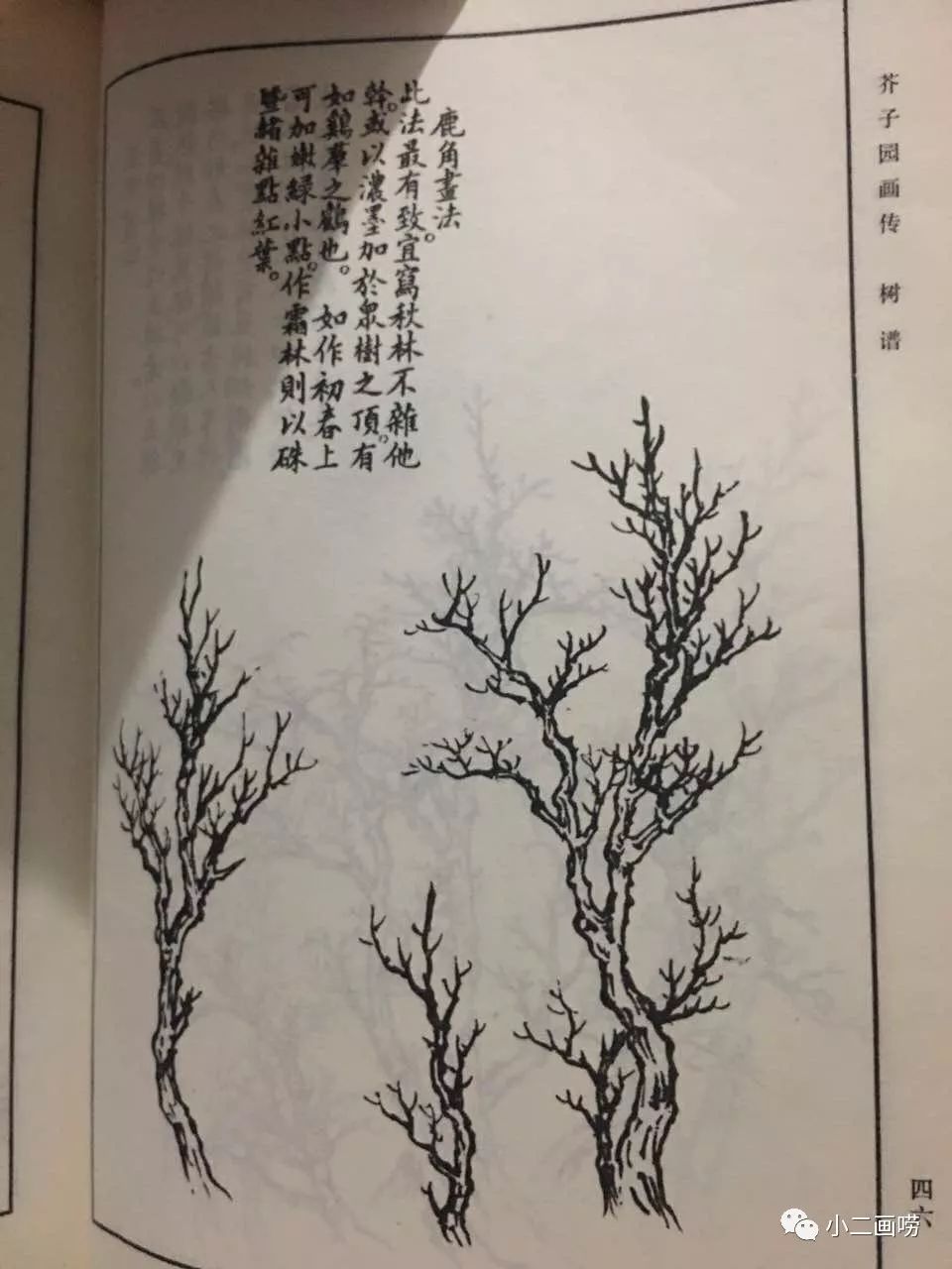 【小二画唠】《芥子园》中读树法