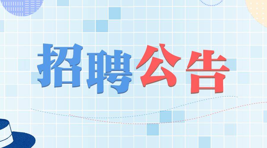 市政府招聘_2017年度钦州市中小学教师公开招聘工作公告(2)