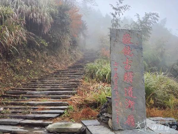 独家策划:清明婺源花田牧歌—徽饶古道 汪槎 茶坑 官坑 庆源