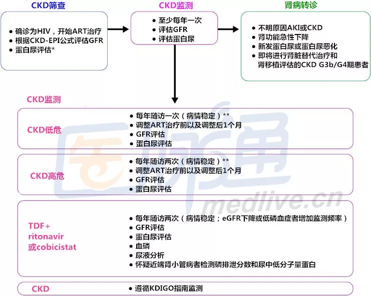 2图2表读懂kdigo之hiv肾病争议共识