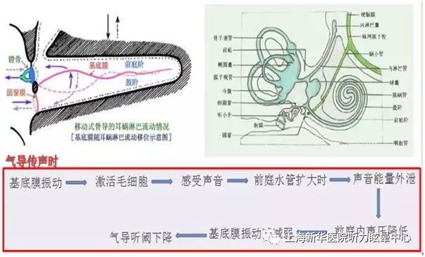 骨导传声时,骨导的压缩机制引起内耳液体压缩,由于前庭阶和鼓阶间的导