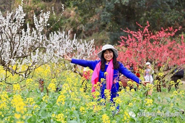 活动回顾 3月3日九峰山三花齐放,梦境花海摄影美食之旅2天