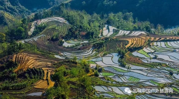 云南元阳有多少人口_云南元阳梯田(2)