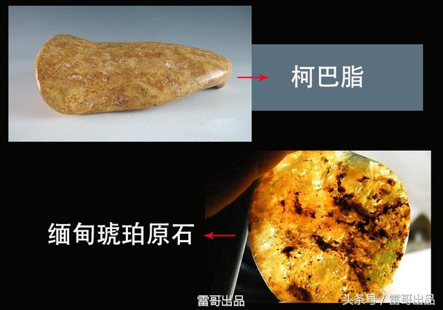 缅甸琥珀与印尼柯巴脂