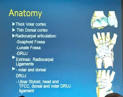 aaos 2018:桡骨远端骨折——掌侧 or 背侧固定?