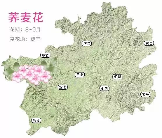 东山县人口_你知道76年前东山县的模样吗