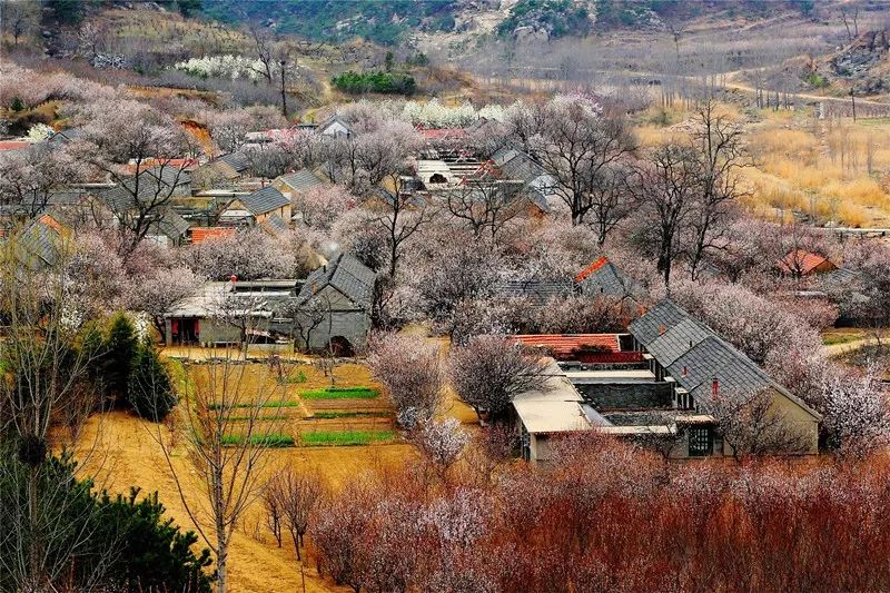 文登有多少人口_文登路口的风景