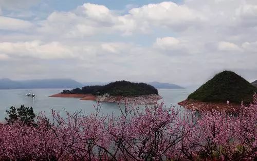 周末不愁春游去哪里,最强赏花攻略免费奉送