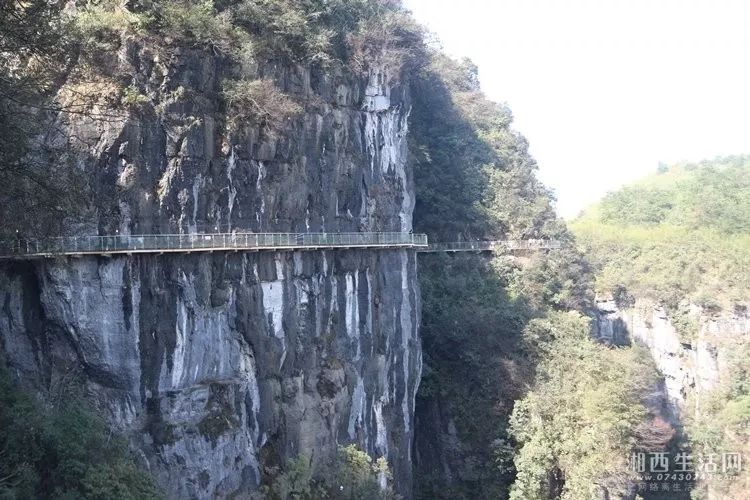 吉首人,悬崖下居住了半辈子,这回可以登上云端了——矮寨悬崖栈道3月