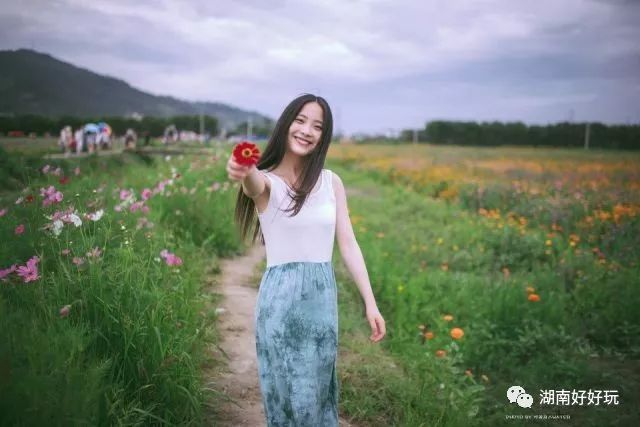 最适用花海拍照小技巧,瞬间让你秒杀朋友圈!