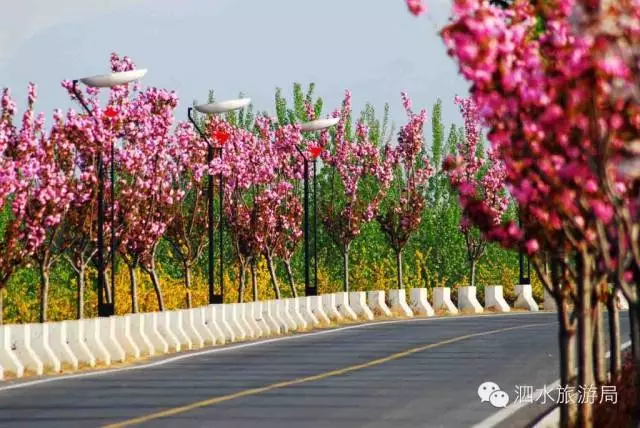 旅游 正文 地址:泗水县万紫千红景区樱花大道 交通:日兰高速泗水