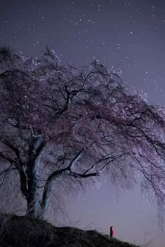 远处是风景,近处的才是人生