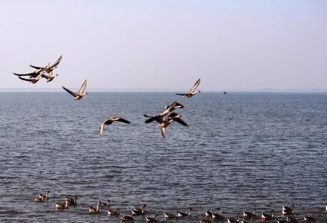 鄱阳湖