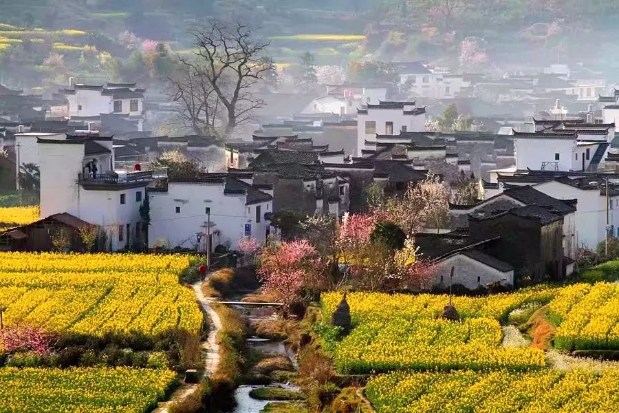 石城县有多少人口_石城乡人口面积 位置怎么去 旅游景点图片 土流网