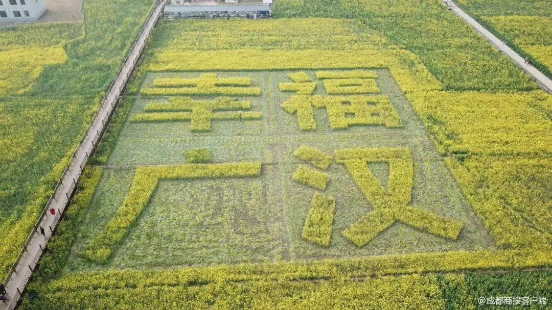 3月9日,2018四川美丽田园欢乐游暨第五届广汉油菜花季,在广汉市