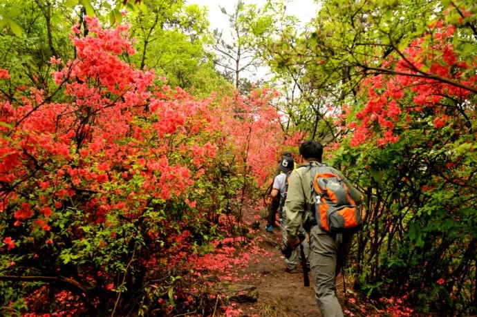 建议线路:进化镇华家垫村——曹山寺——绍兴夏履镇——越王峥——深