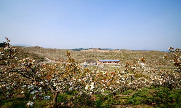 莆田坪人口_莆田坪盘旅游景区