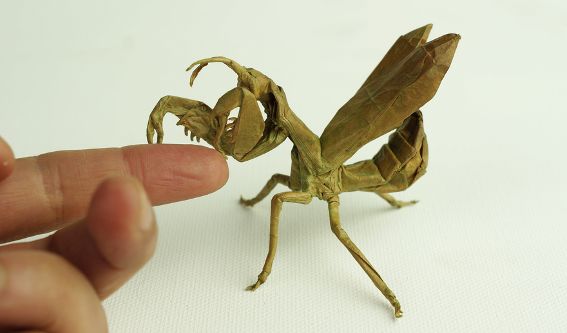 折纸螳螂,玲珑精致,小到螳螂脚上的触角也清晰可见.