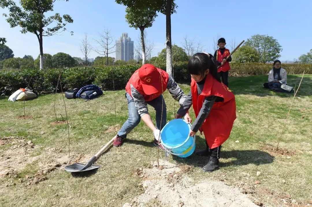 旅游 正文  植树现场团员青年,市民代表们 在院士公园规划的区域内 撸