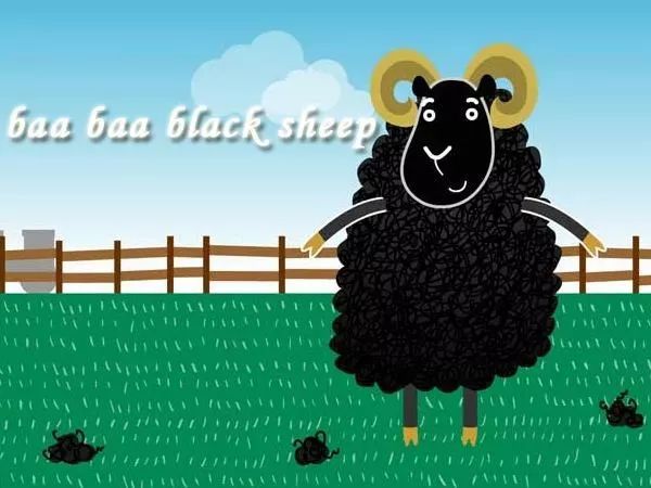 baa! black sheep!