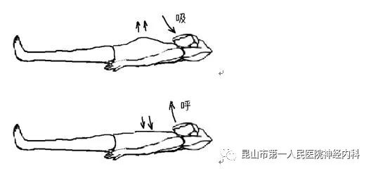 神经内科功能锻炼宣传册