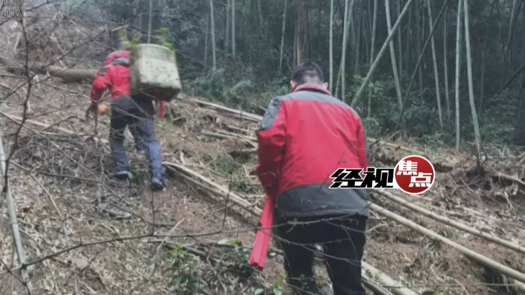 欧宝平台千年一见！湖南发现巨型野生“金刚藤”长达两米 预估年龄百年以上(图4)