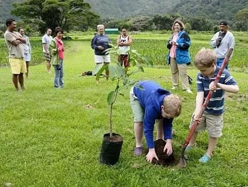 趣读丨聊聊各国植树节那些"趣事儿"