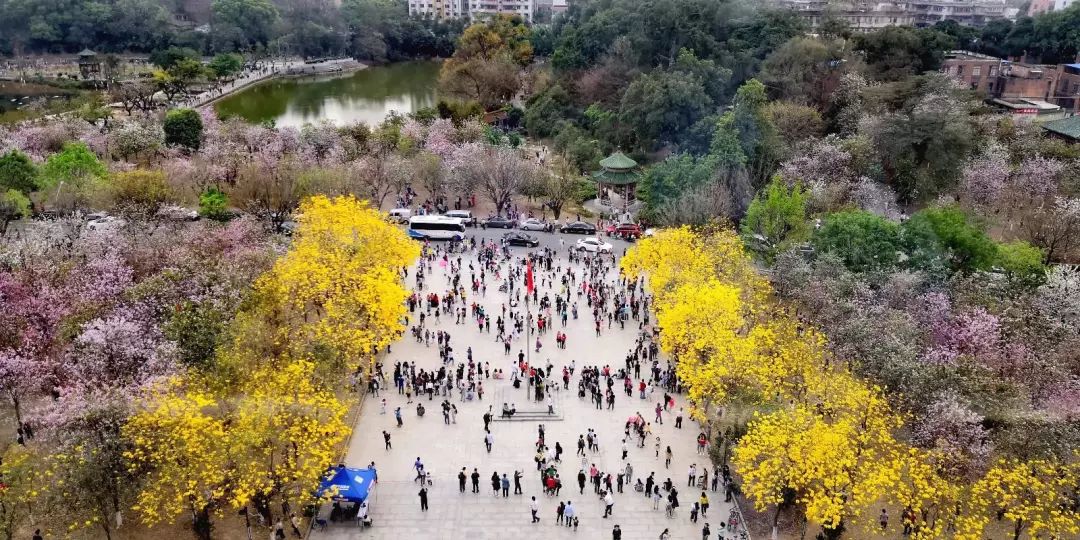 华农大学人口_华农大学