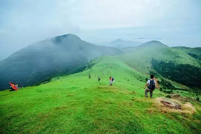 大姆山草场