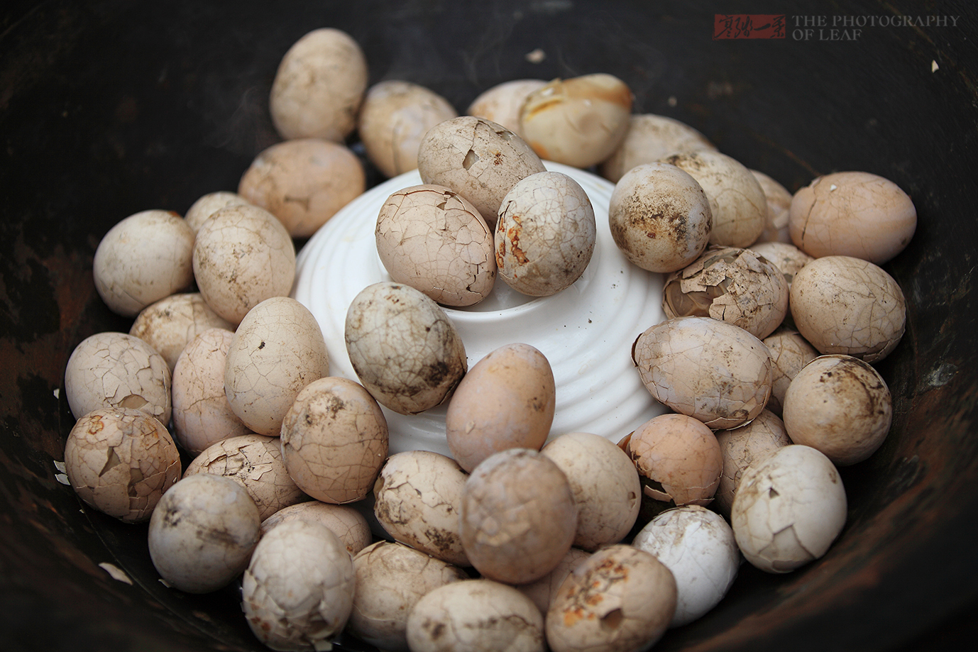鲜蘑菇炒鸡蛋怎么做_鲜蘑菇炒鸡蛋的做法_豆果美食