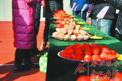 上周六"第十五届中国·长丰草莓文化节"盛大开幕,在万名游客见证下