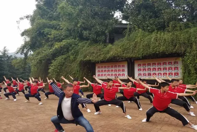 学习武术的孩子,会有怎样与众不同的优势