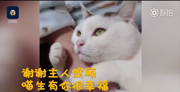 一天天长大猜成语_一天天长大(3)