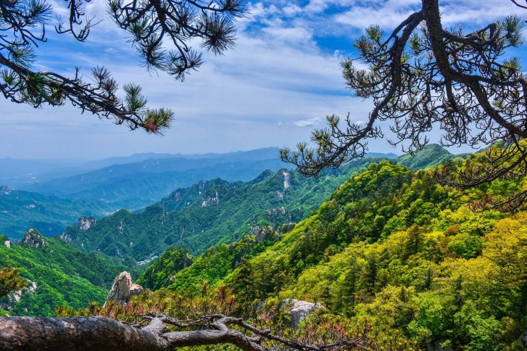 鲁山婚纱摄影_鲁山摄影图片(3)