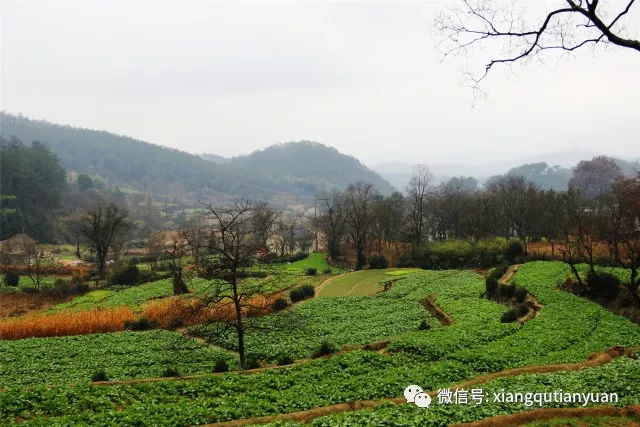 张家冲隶属于湖北省黄冈市罗田县三里畈镇新铺村,地处大别山南麓,座落