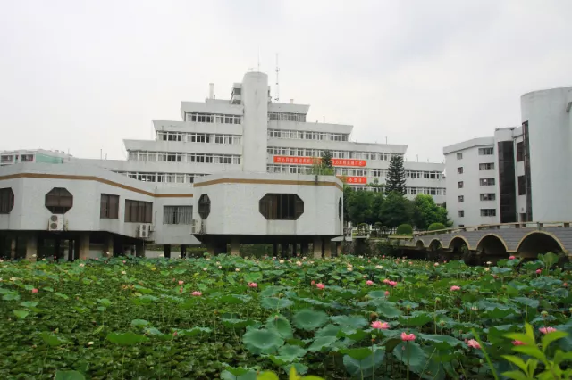 广西财经学院:一进财院门 就是菜园人