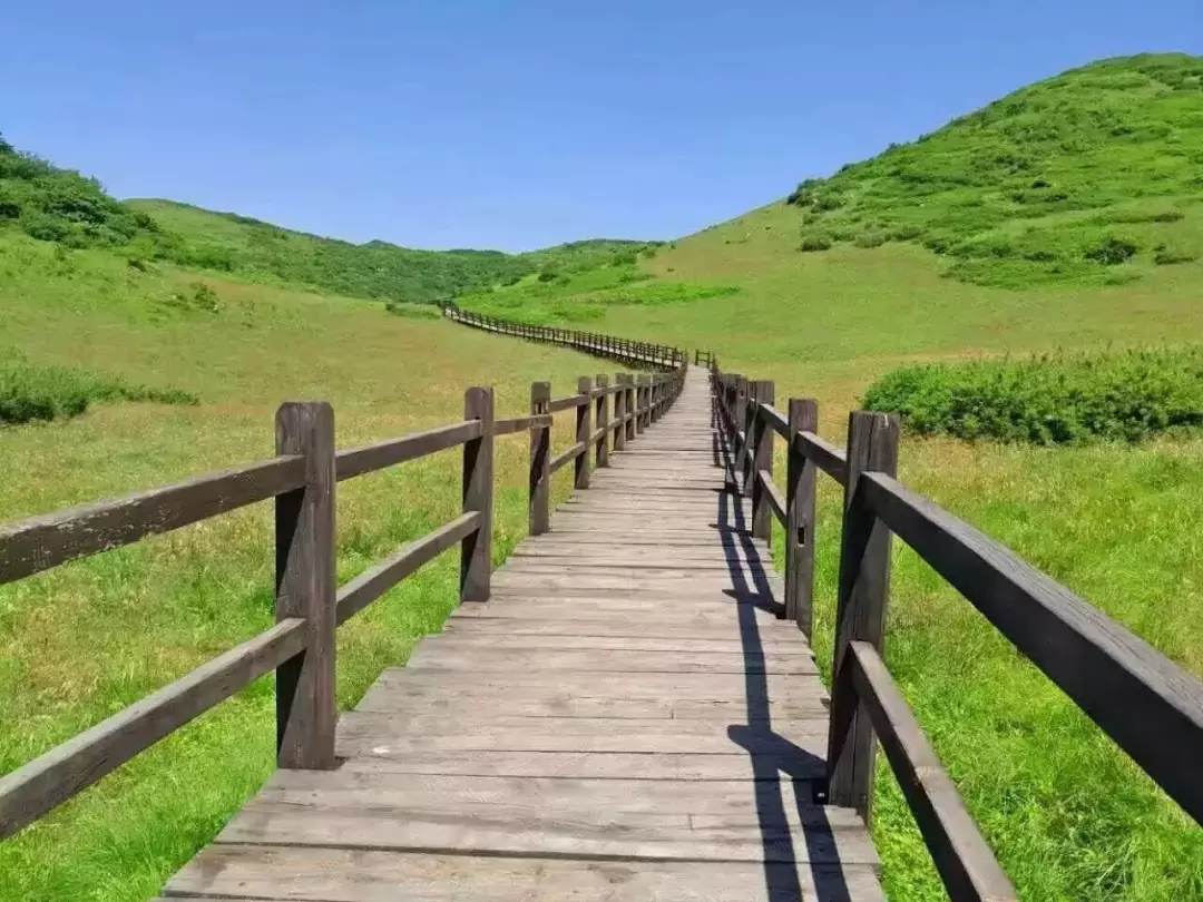 好消息:留坝紫柏山国家森林公园开园并附福利