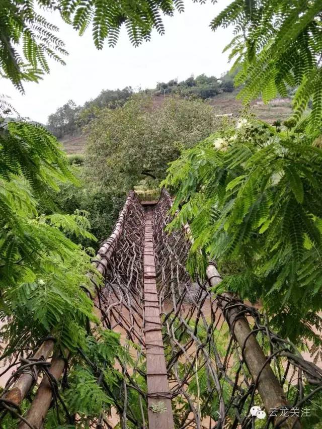 松水藤桥云龙是全国古桥保存最完整的地方 在云龙境内众多大江小河上